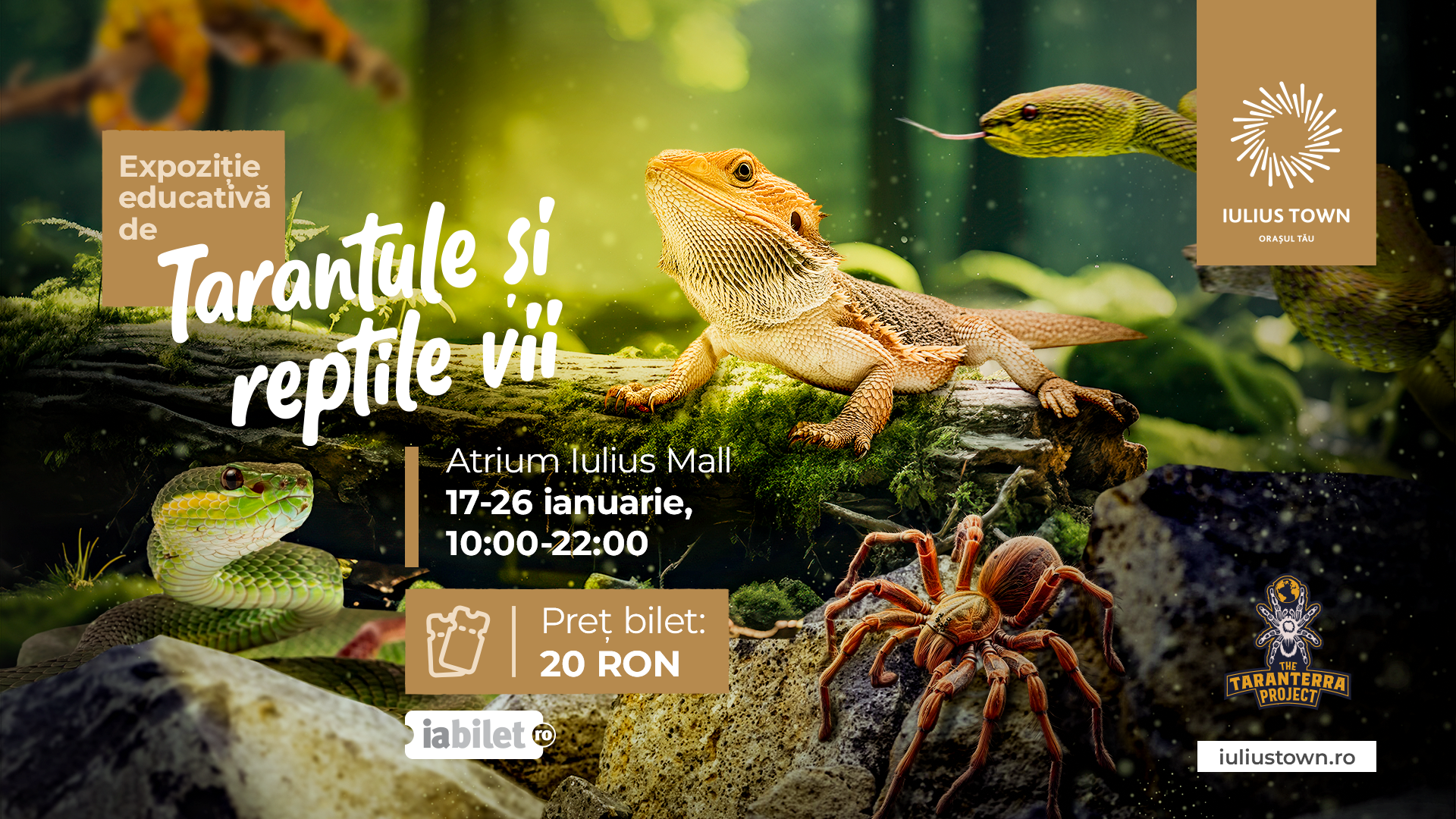 Expo Tarantule si reptile_1920x1080